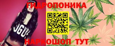 гидра Обнинск