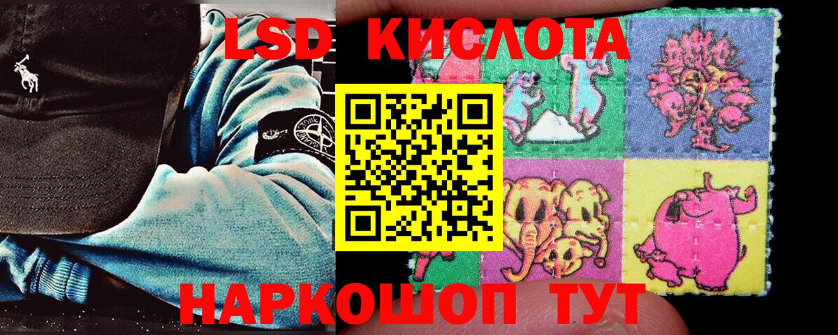 Наркотические марки 1500мкг Чайковский