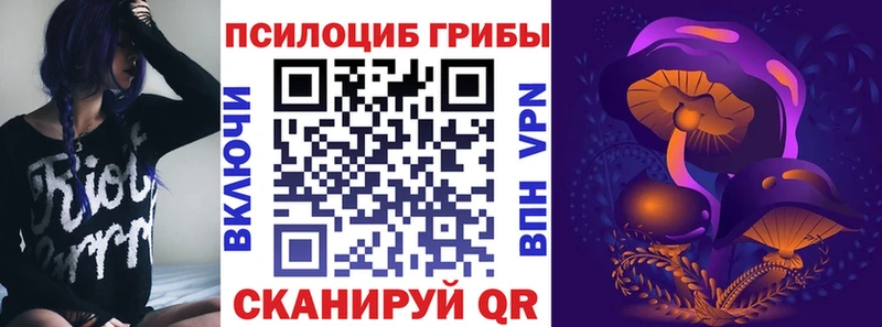 Галлюциногенные грибы Psilocybe Чайковский