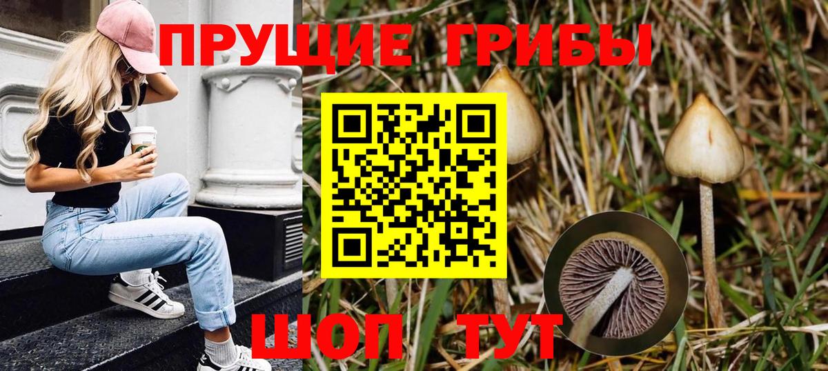 Галлюциногенные грибы Cubensis Чайковский