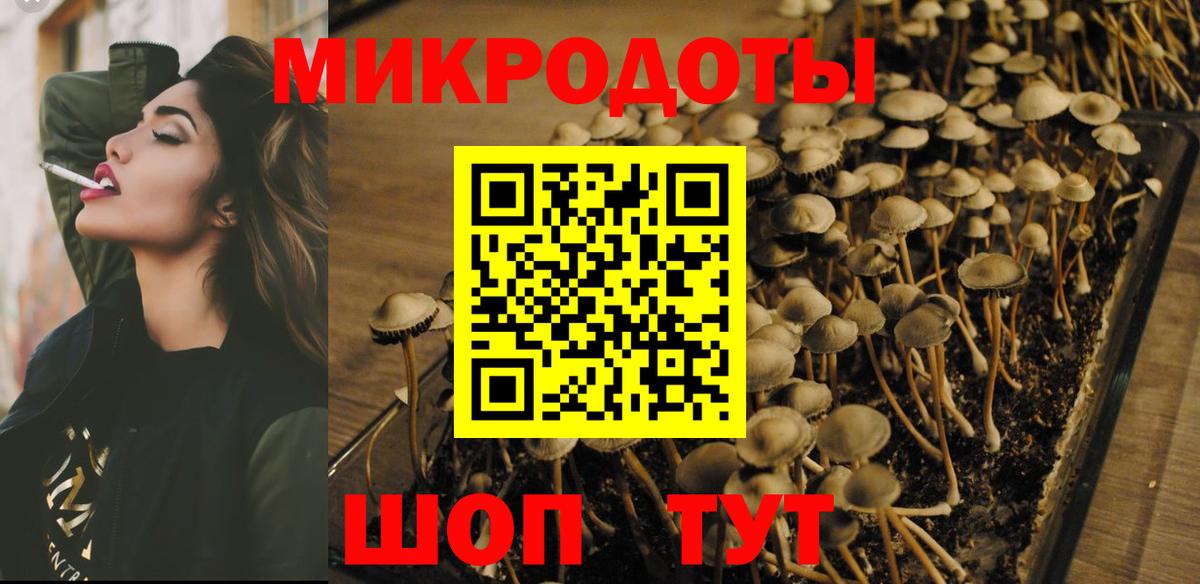 Чайковский  Галлюциногенные грибы Psilocybine cubensis  где можно купить   Вход с VPN 